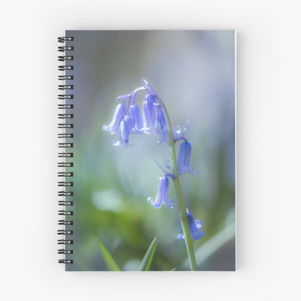 Item preview,  Digital Photograph of bluebell flower designed and sold by SimonJohnson1.