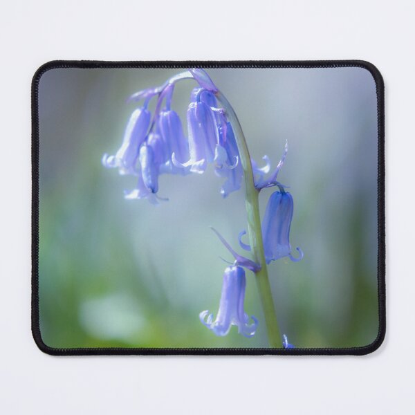 Item preview,  Digital Photograph of bluebell flower designed and sold by SimonJohnson1.