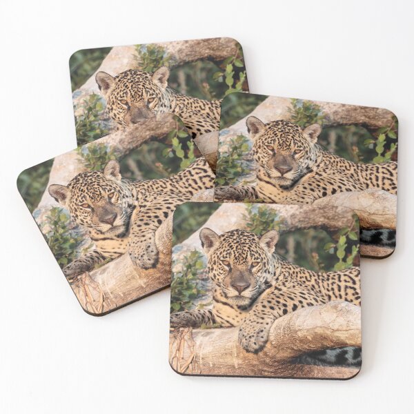 Item preview, Jaguar resting on a tree designed and sold by Marion Joncheres.