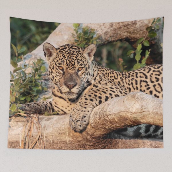 Item preview, Jaguar resting on a tree designed and sold by Marion Joncheres.
