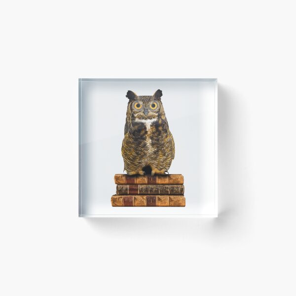 Item preview, Great Horned Owl on Old Books designed and sold by SirLeeTees.