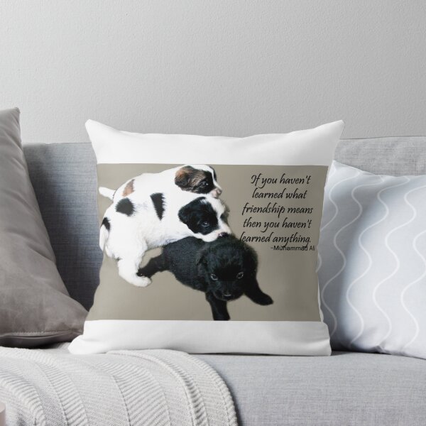 Item preview, what friendship means designed and sold by lensbaby.