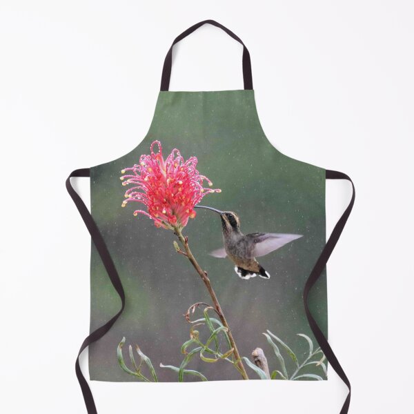 Item preview, Brazilian hummingbird designed and sold by Marion Joncheres.