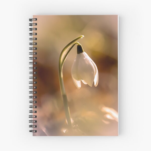 Item preview,  Digital Photograph of Snowdrop flower designed and sold by SimonJohnson1.