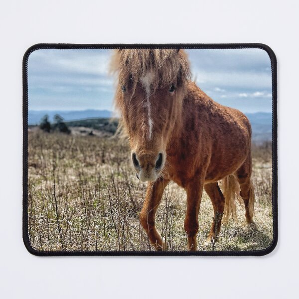 Item preview, Grayson Pony designed and sold by Jason Tompkins.