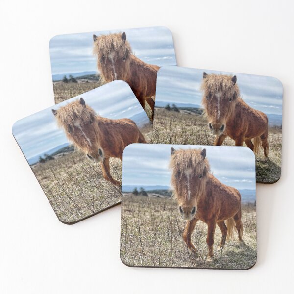 Item preview, Grayson Pony designed and sold by Jason Tompkins.