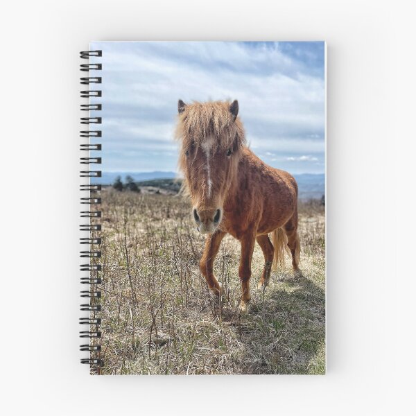 Item preview, Grayson Pony designed and sold by Jason Tompkins.