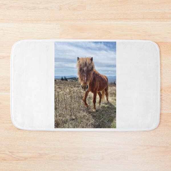 Item preview, Grayson Pony designed and sold by Jason Tompkins.