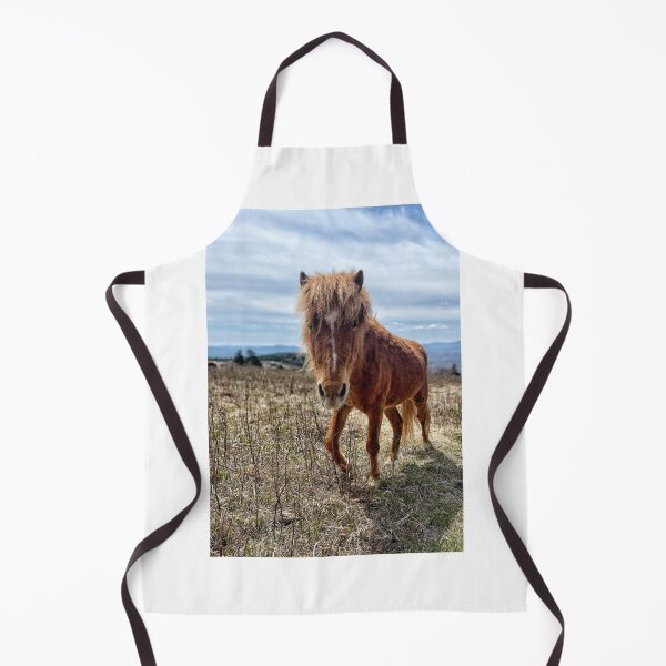 Item preview, Grayson Pony designed and sold by Jason Tompkins.