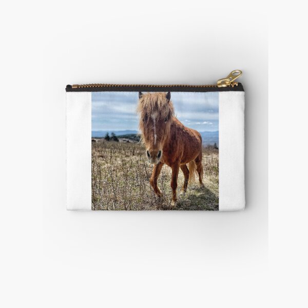 Item preview, Grayson Pony designed and sold by Jason Tompkins.
