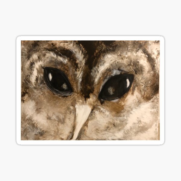 Owl Eyes Are Watching You Sticker