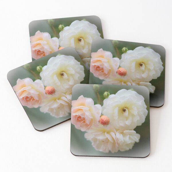 Item preview, Digital Photograph of sunlit rose blooms designed and sold by SimonJohnson1.