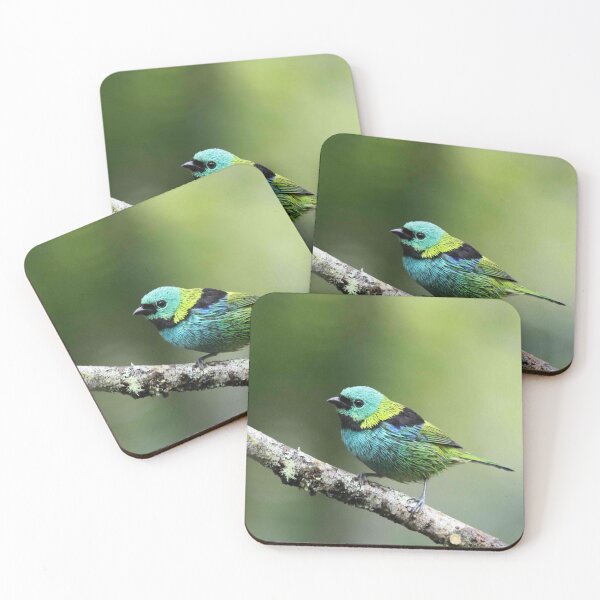 Item preview, Green-headed Tanager designed and sold by Marion Joncheres.