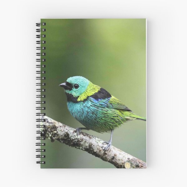 Item preview, Green-headed Tanager designed and sold by Marion Joncheres.