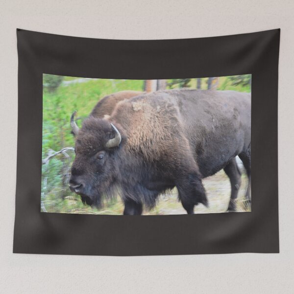 Item preview, YO - RALPHIE BOY ! designed and sold by Walter Sonny Manser.