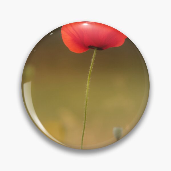 Artikelvorschau, Digitales Foto einer sonnenbeschienenen Mohnblume entworfen und verkauft von SimonJohnson1.