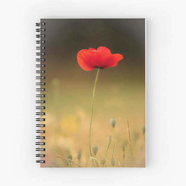 Artikelvorschau, Digitales Foto einer sonnenbeschienenen Mohnblume entworfen und verkauft von SimonJohnson1.