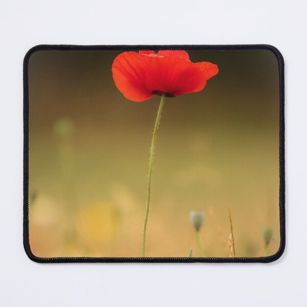 Artikelvorschau, Digitales Foto einer sonnenbeschienenen Mohnblume entworfen und verkauft von SimonJohnson1.