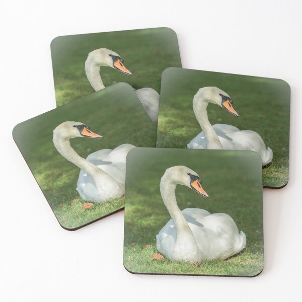 Item preview, Digital Photograph of sunlit swan on grass designed and sold by SimonJohnson1.