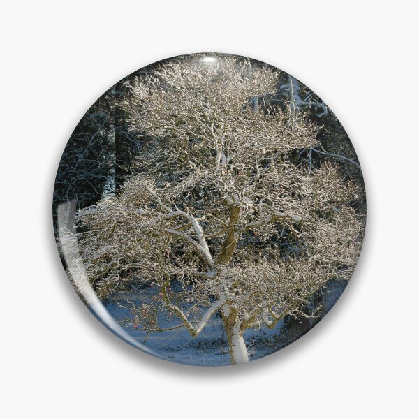 Item preview, Digital Photograph of sunlit frosted tree in Snow designed and sold by SimonJohnson1.