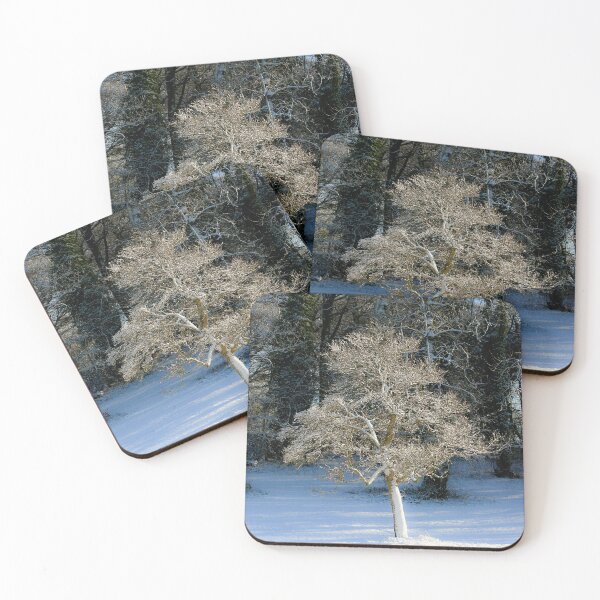 Item preview, Digital Photograph of sunlit frosted tree in Snow designed and sold by SimonJohnson1.