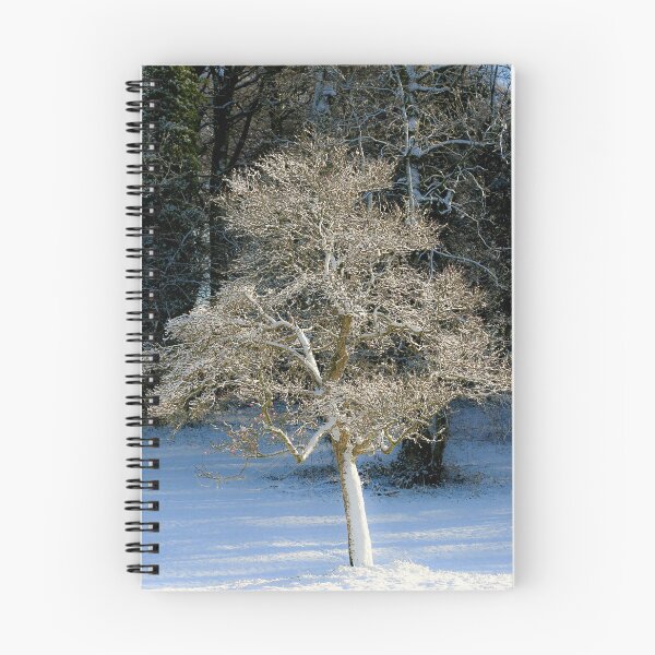 Item preview, Digital Photograph of sunlit frosted tree in Snow designed and sold by SimonJohnson1.