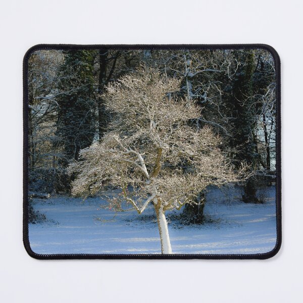 Item preview, Digital Photograph of sunlit frosted tree in Snow designed and sold by SimonJohnson1.