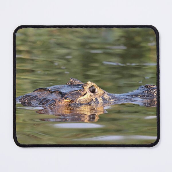 Item preview, Pantanal Caiman designed and sold by Marion Joncheres.