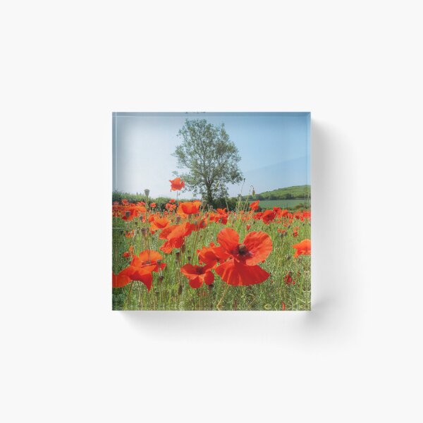 Artikelvorschau, Digitales Foto eines sonnenbeschienenen Mohnfeldes mit Baum entworfen und verkauft von SimonJohnson1.