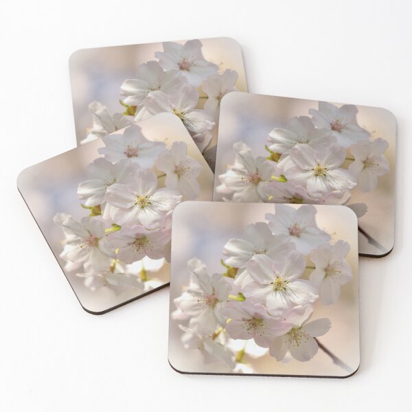 Item preview, Digital Photograph of sunlit white Cherry Blossom designed and sold by SimonJohnson1.