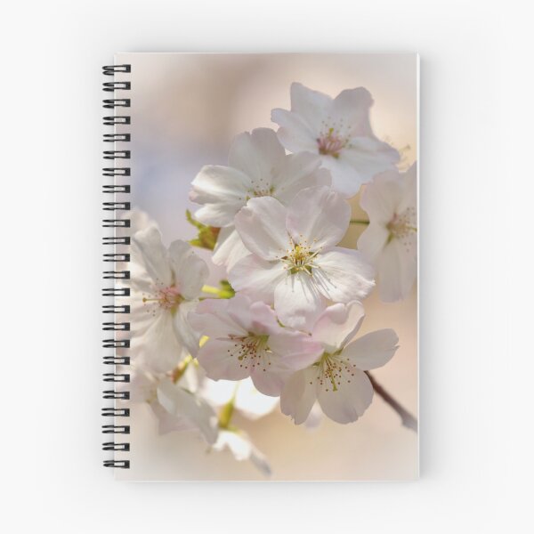 Item preview, Digital Photograph of sunlit white Cherry Blossom designed and sold by SimonJohnson1.
