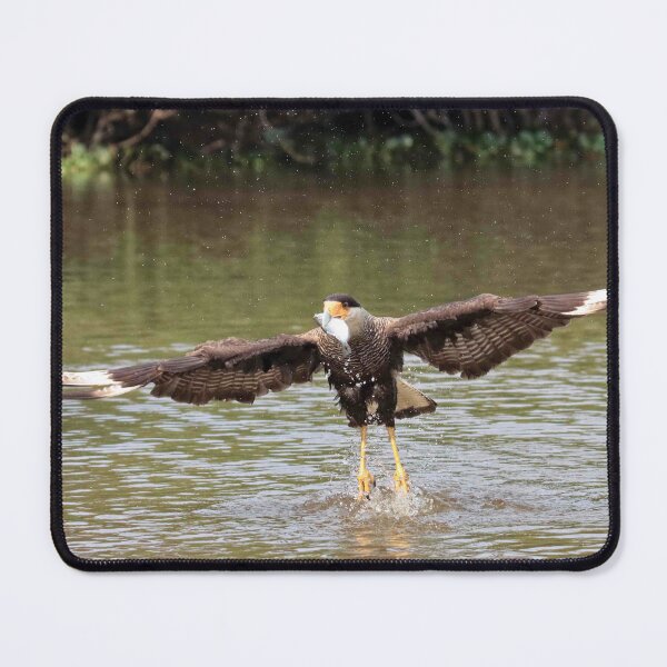 Item preview, Peach caracara designed and sold by Marion Joncheres.