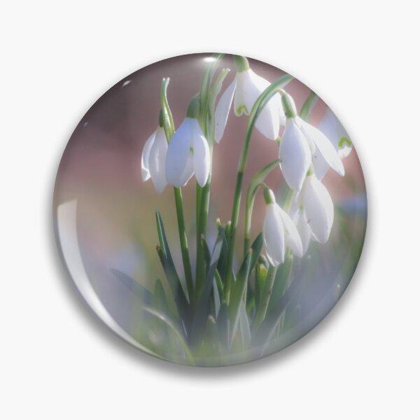 Item preview, Digital Photograph of sunlit snowsdrops with a soft focus designed and sold by SimonJohnson1.