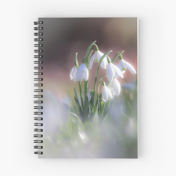 Item preview, Digital Photograph of sunlit snowsdrops with a soft focus designed and sold by SimonJohnson1.