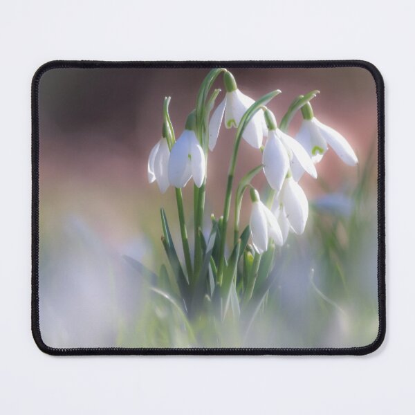 Item preview, Digital Photograph of sunlit snowsdrops with a soft focus designed and sold by SimonJohnson1.