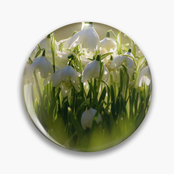 Item preview, Digital Photograph of sunlit snowdrop flowers designed and sold by SimonJohnson1.