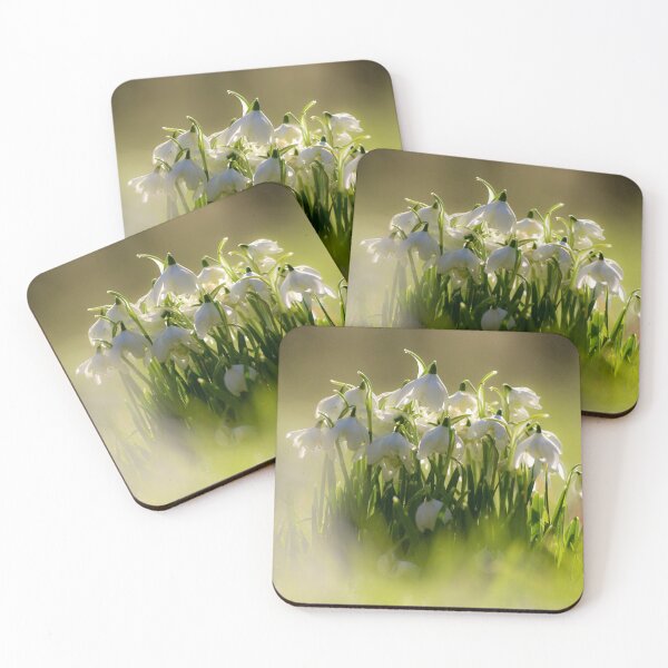 Item preview, Digital Photograph of sunlit snowdrop flowers designed and sold by SimonJohnson1.