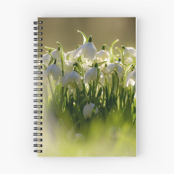Item preview, Digital Photograph of sunlit snowdrop flowers designed and sold by SimonJohnson1.