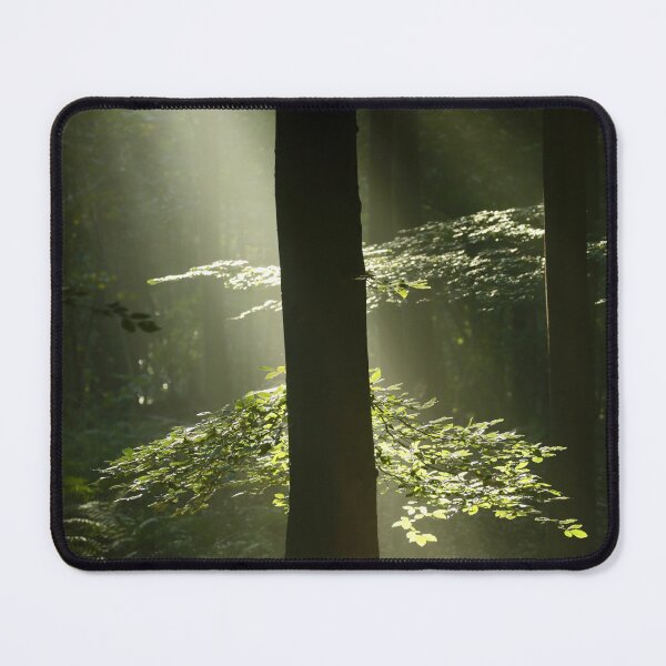 Item preview, Digital Photograph of sunlit leaves designed and sold by SimonJohnson1.