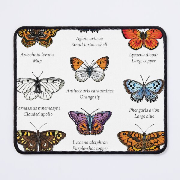 Item preview, Lepidoptera I. designed and sold by kataszep.