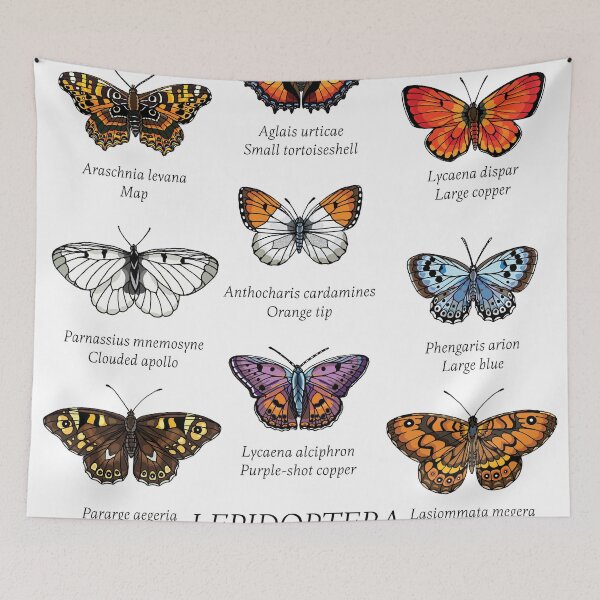 Item preview, Lepidoptera I. designed and sold by kataszep.
