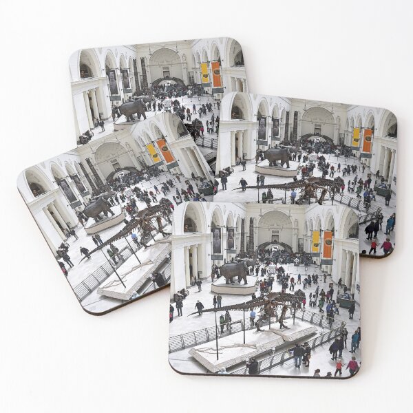 Item preview, Field Museum Main Hall designed and sold by Catherine Sherman.