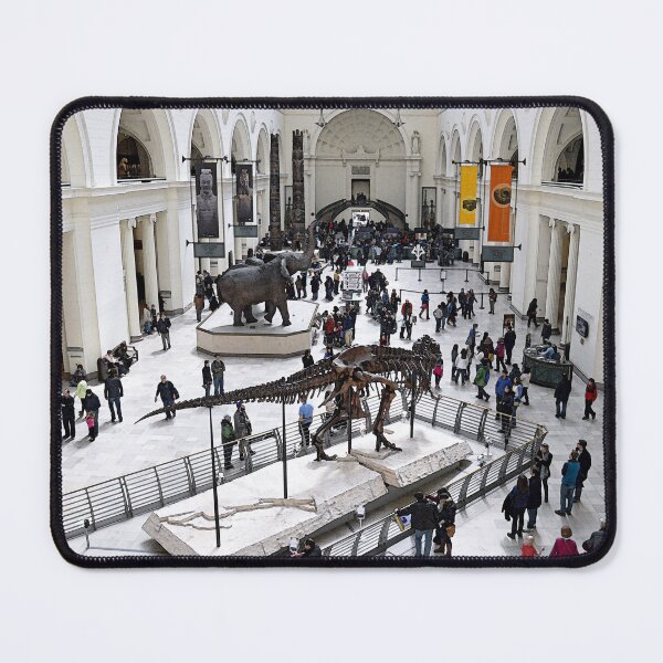 Item preview, Field Museum Main Hall designed and sold by Catherine Sherman.