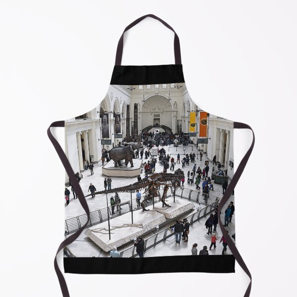 Item preview, Field Museum Main Hall designed and sold by Catherine Sherman.