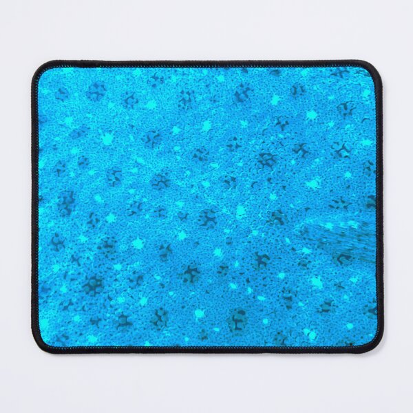 Item preview, Sky Blue Flounder Skin  designed and sold by CJRPics.
