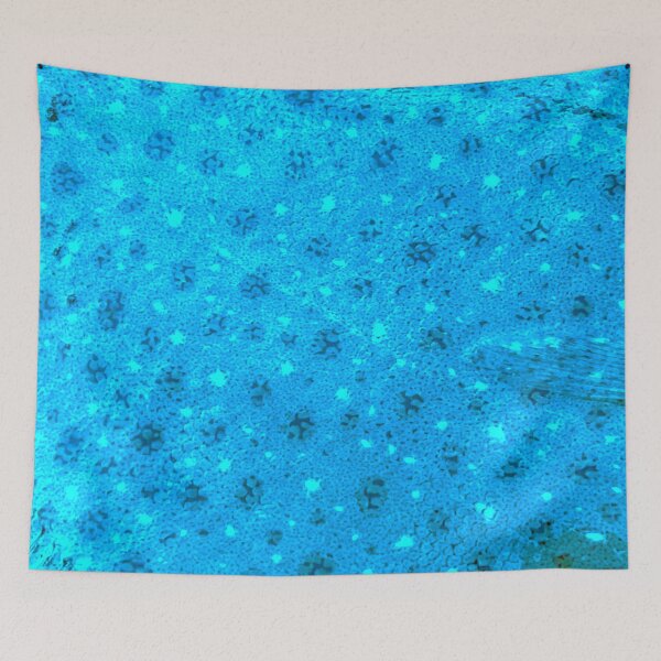 Item preview, Sky Blue Flounder Skin  designed and sold by CJRPics.