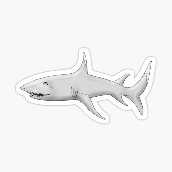 Sleepy Shark Sticker