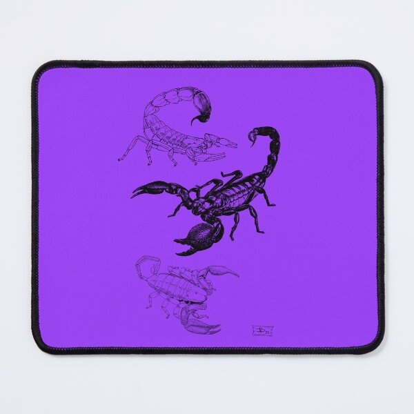 Item preview, Scorpions of Africa designed and sold by DavidNeffArt.