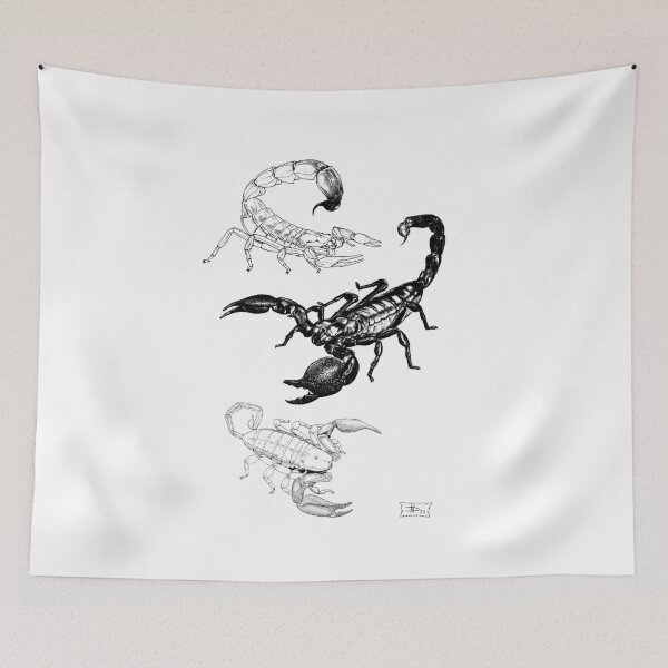 Item preview, Scorpions of Africa designed and sold by DavidNeffArt.