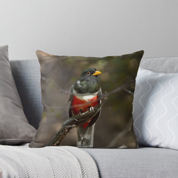 Item preview, Elegant Trogon designed and sold by CESW Photography.